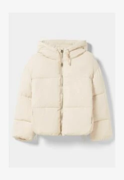 BERSHKA PUFFER - Winterjacke - Off White 12 BERSHKA PUFFER - Winterjacke - Off White -Bershka Verkaufsgeschäft 11dc7b23daa74712b848e8e9d346f585