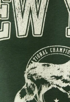 BERSHKA PRINTED - Sweatshirt - Green -Bershka Verkaufsgeschäft 32e92e4a83bf4e82887336c8b09359f6