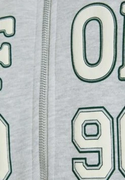 BERSHKA PRINTED OVERSIZE - Sweatjacke - Mottled Grey 13 BERSHKA PRINTED OVERSIZE - Sweatjacke - Mottled Grey -Bershka Verkaufsgeschäft 5180a2a6c00f44288b6e9fd8a35c32b7