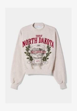 BERSHKA EMBROIDERED - Sweatshirt - Sand 12 BERSHKA EMBROIDERED - Sweatshirt - Sand -Bershka Verkaufsgeschäft 84097200624b41d1831fc61a5358800a