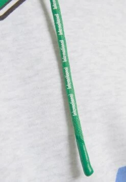 BERSHKA PRINTED - Kapuzenpullover - Mottled Grey 13 BERSHKA PRINTED - Kapuzenpullover - Mottled Grey -Bershka Verkaufsgeschäft f7266840b2904b9fb0e229b99b081aca